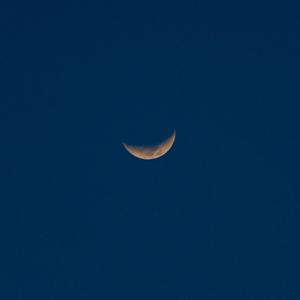 女人张开腿让男人通 
